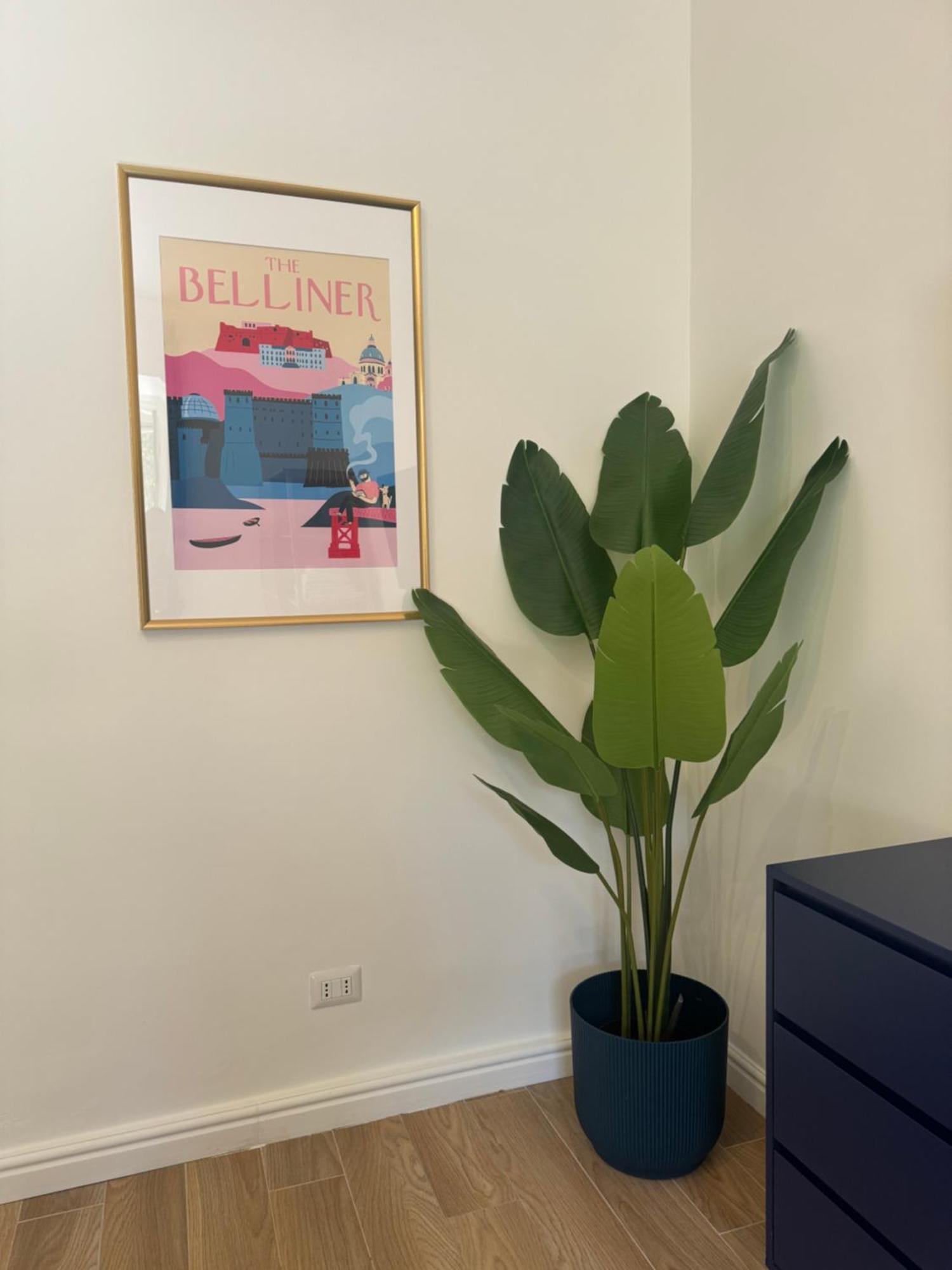 5 Urban Garden House Apartment